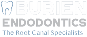 Burien Endodontics Logo